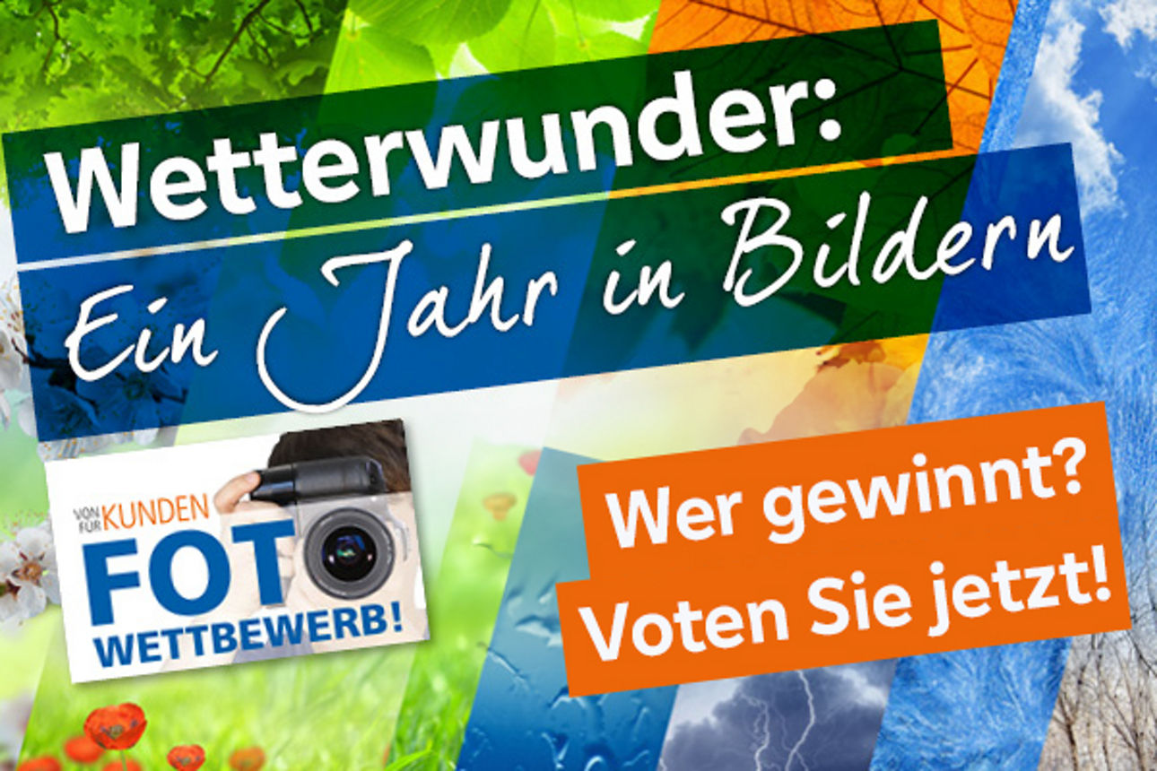 Eine bunte Collage stellt die Jahreszeiten und Vegetation da