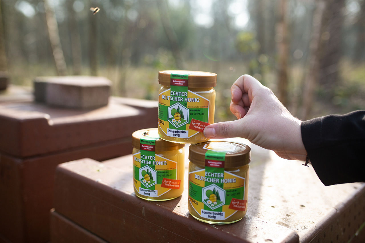 3 Honiggläser auf einem Bienenstock