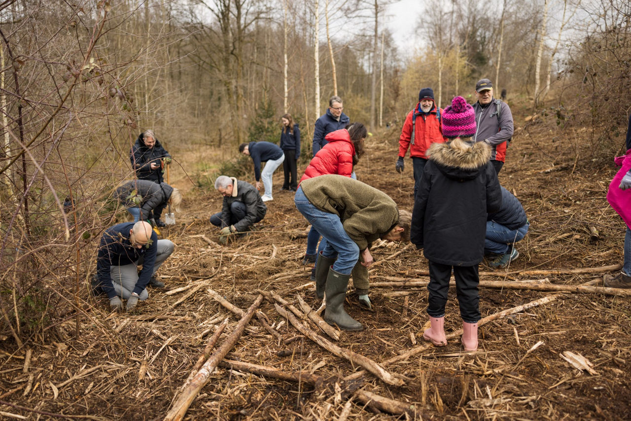 Mitarbeitende der Volksbank in Ostwestfalen, ihre Familien und Vertreter der KlimaWoche-Bielefeld beim Pflanzen der Bäume.