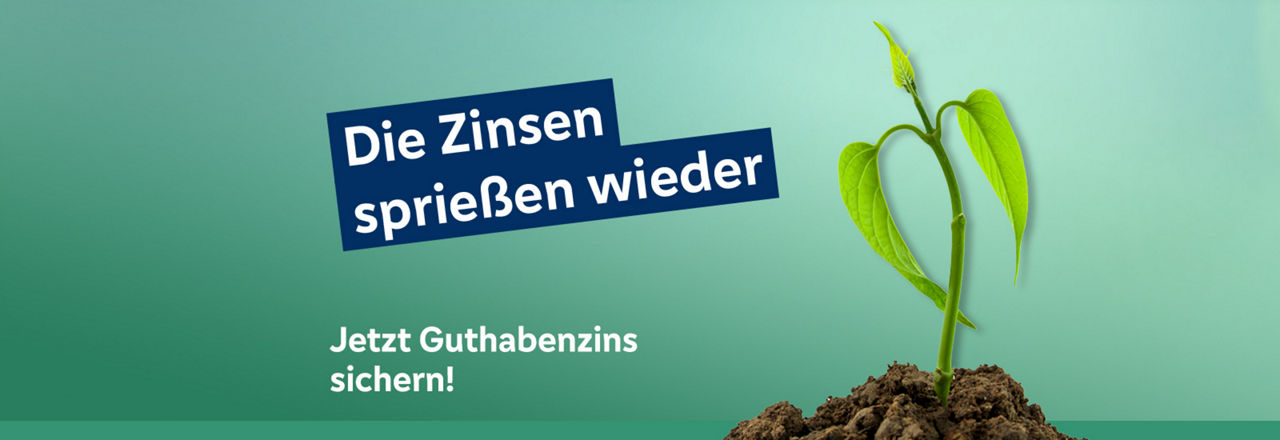 Pflanzensprößling