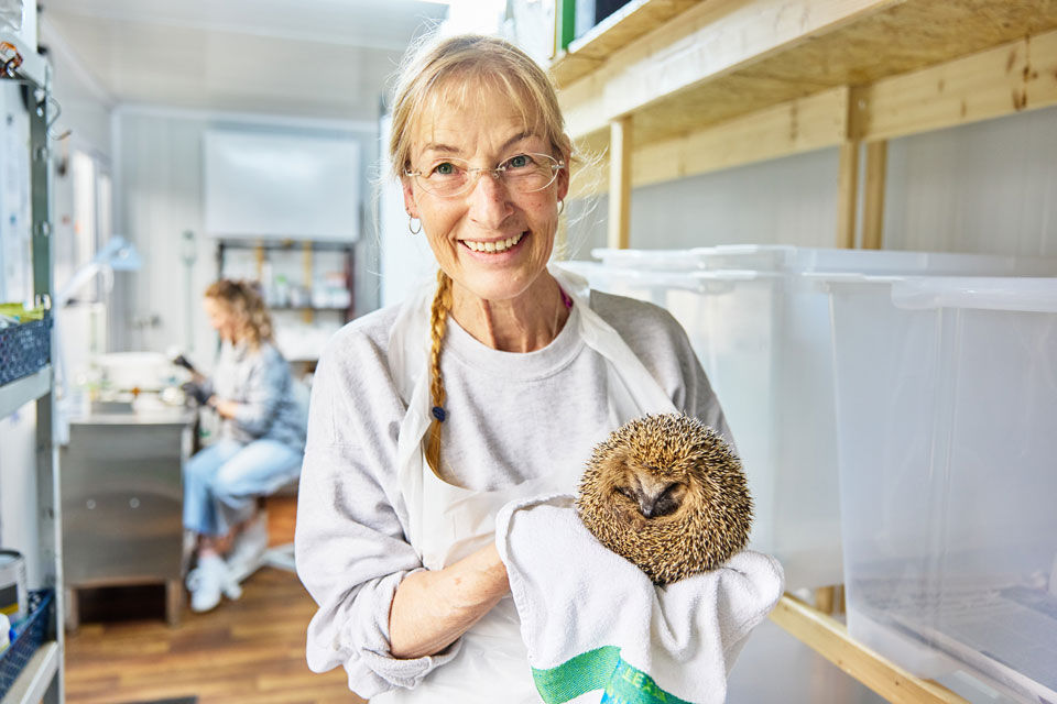 Tierärztin beim Untersuchen eines Igels