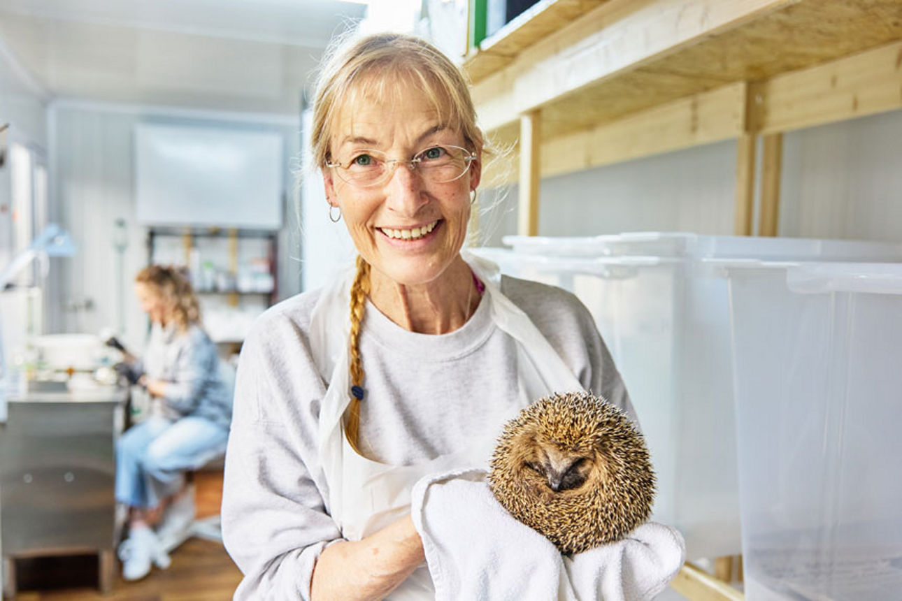 Tierärztin beim Untersuchen eines Igels