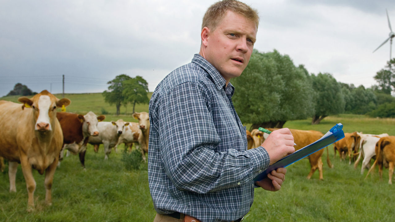 Landwirt auf einer Wiese vor einer Kuhherde