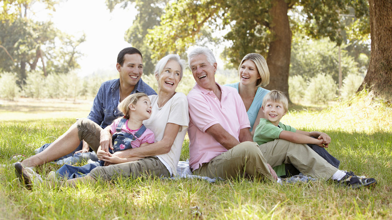 Familie sitzt in einer Wiese