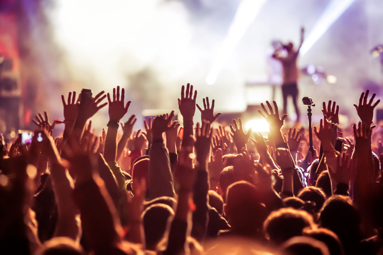 Menschen auf einem Konzert