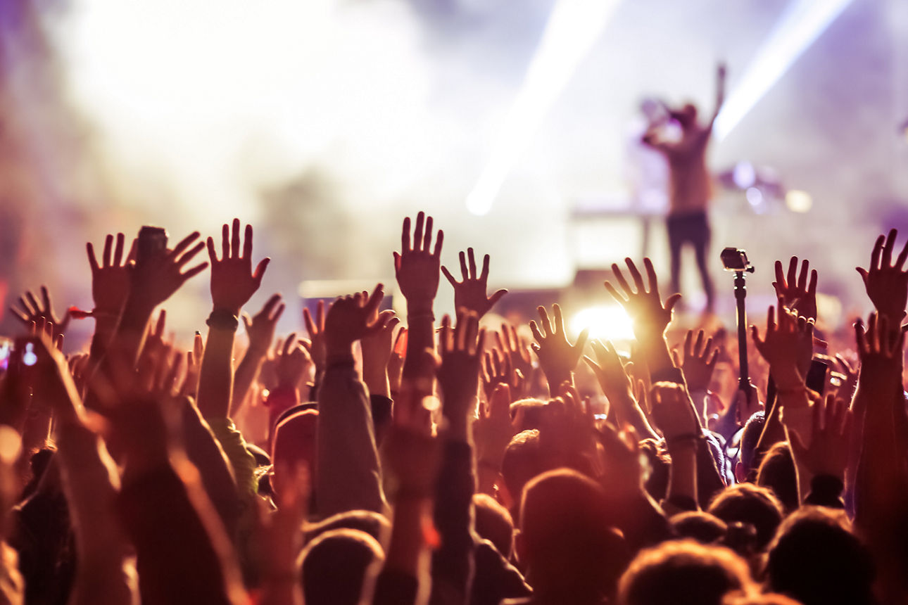 Menschen auf einem Konzert