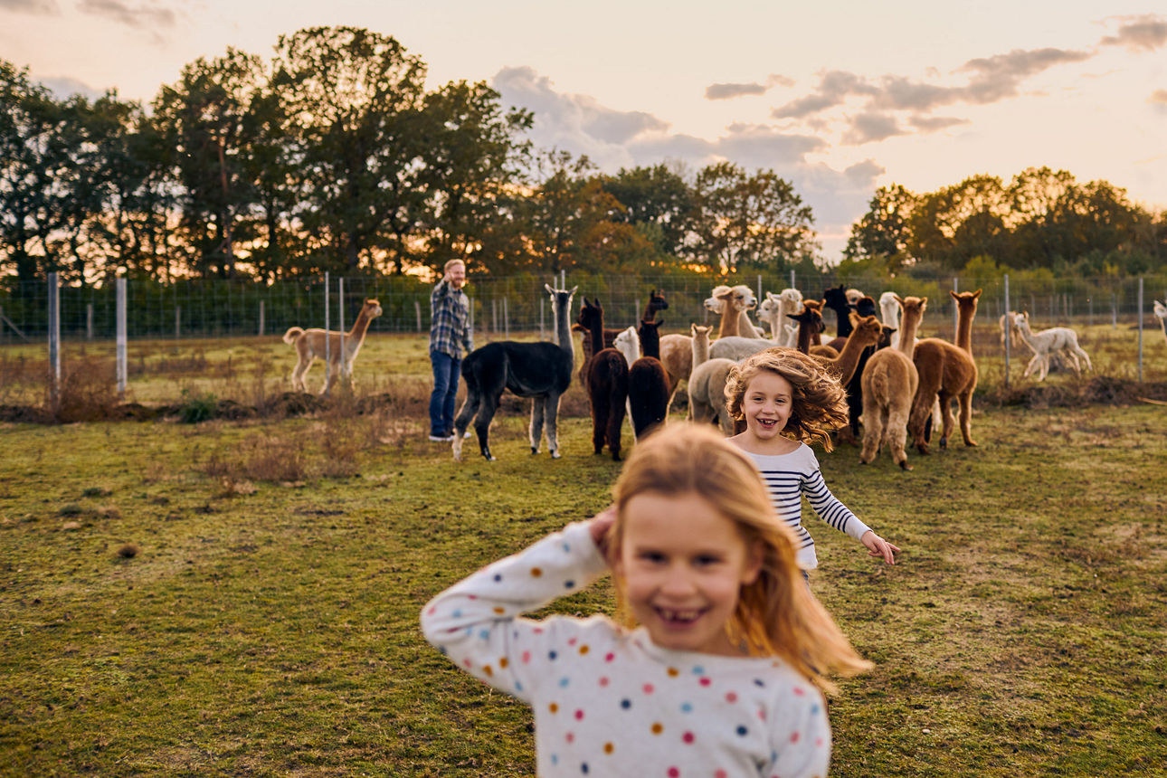 Fröhliches Mädchen läuft auf einer Wiese mit Alpakas – Symbolbild für Jugendsparkonto für Kinder