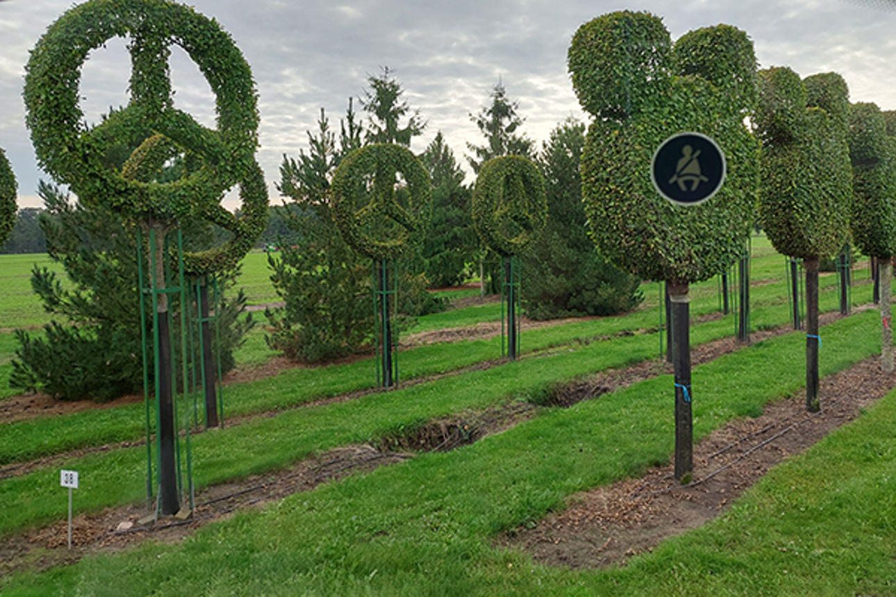 Baumschule Bruns