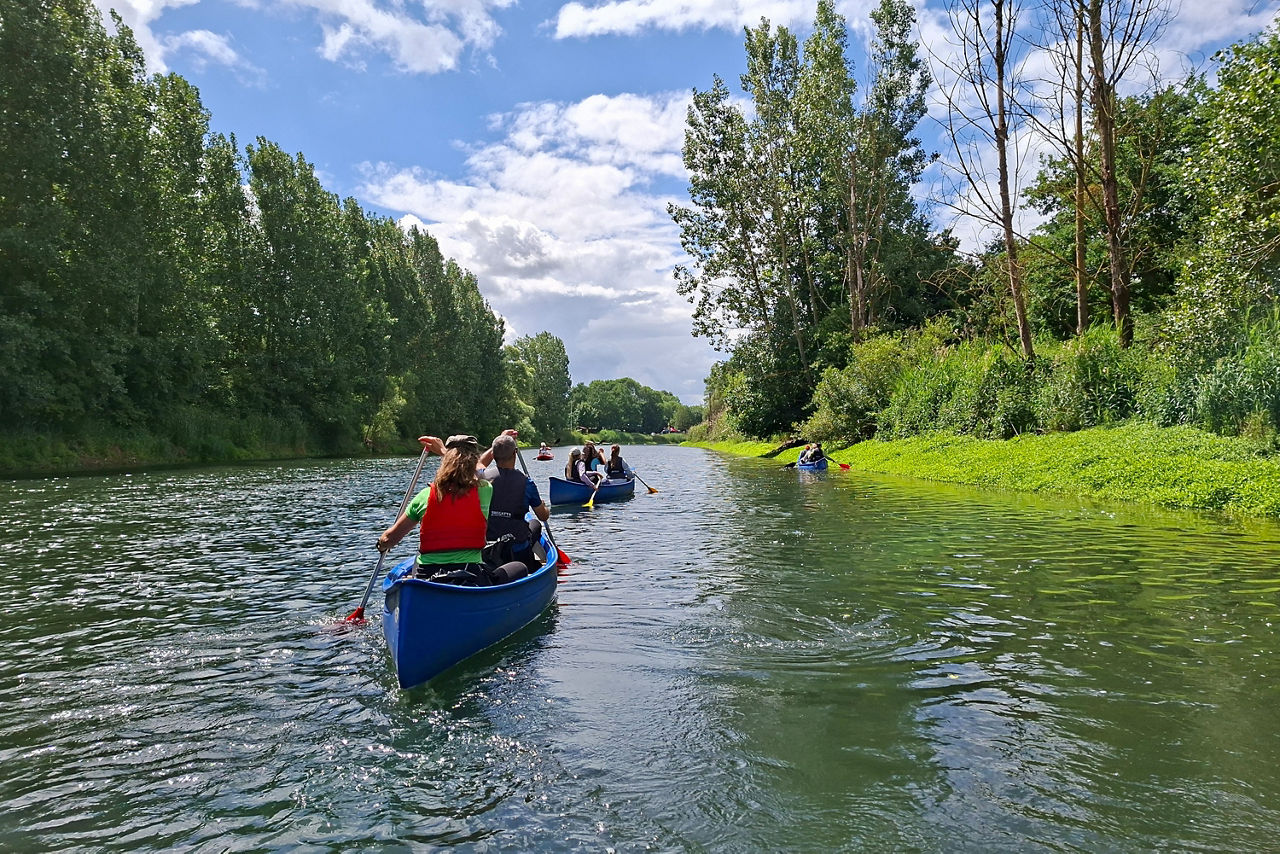 Kanus fahren im Sommer durch grüne Flusslandschaft