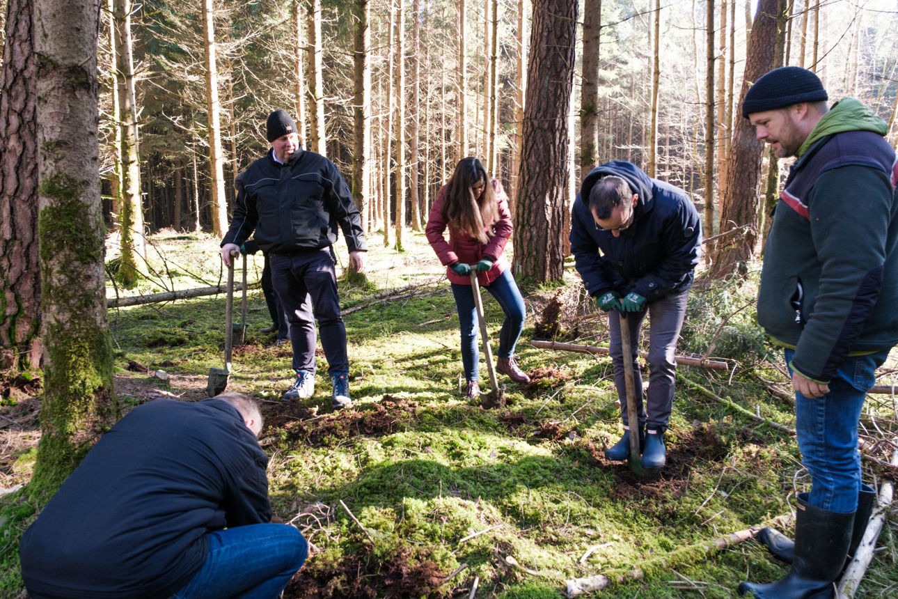 Baumpflanzaktion im Wald