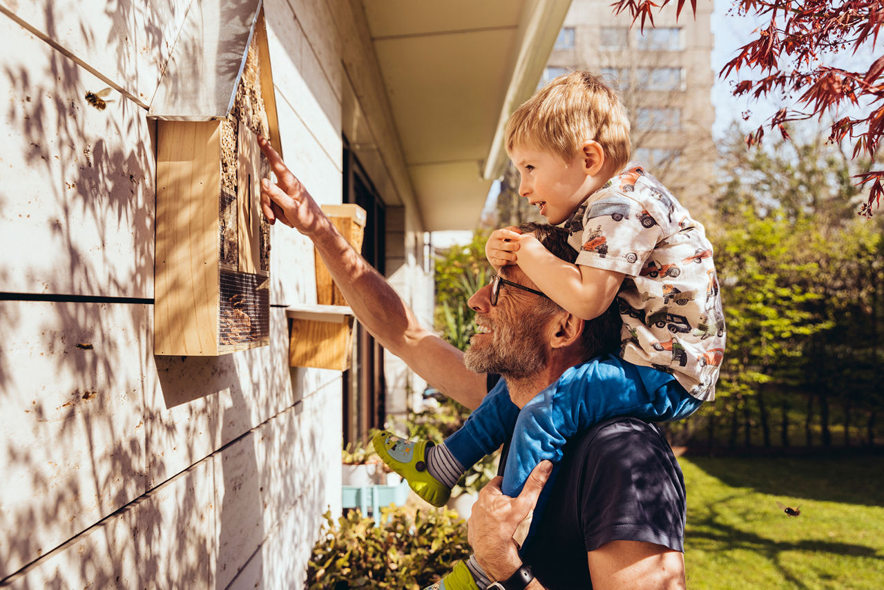 Ein Vater und sein auf den Schultern sitzender Sohn begutachten ihr an der Hauswand hängendes Insektenhotel.