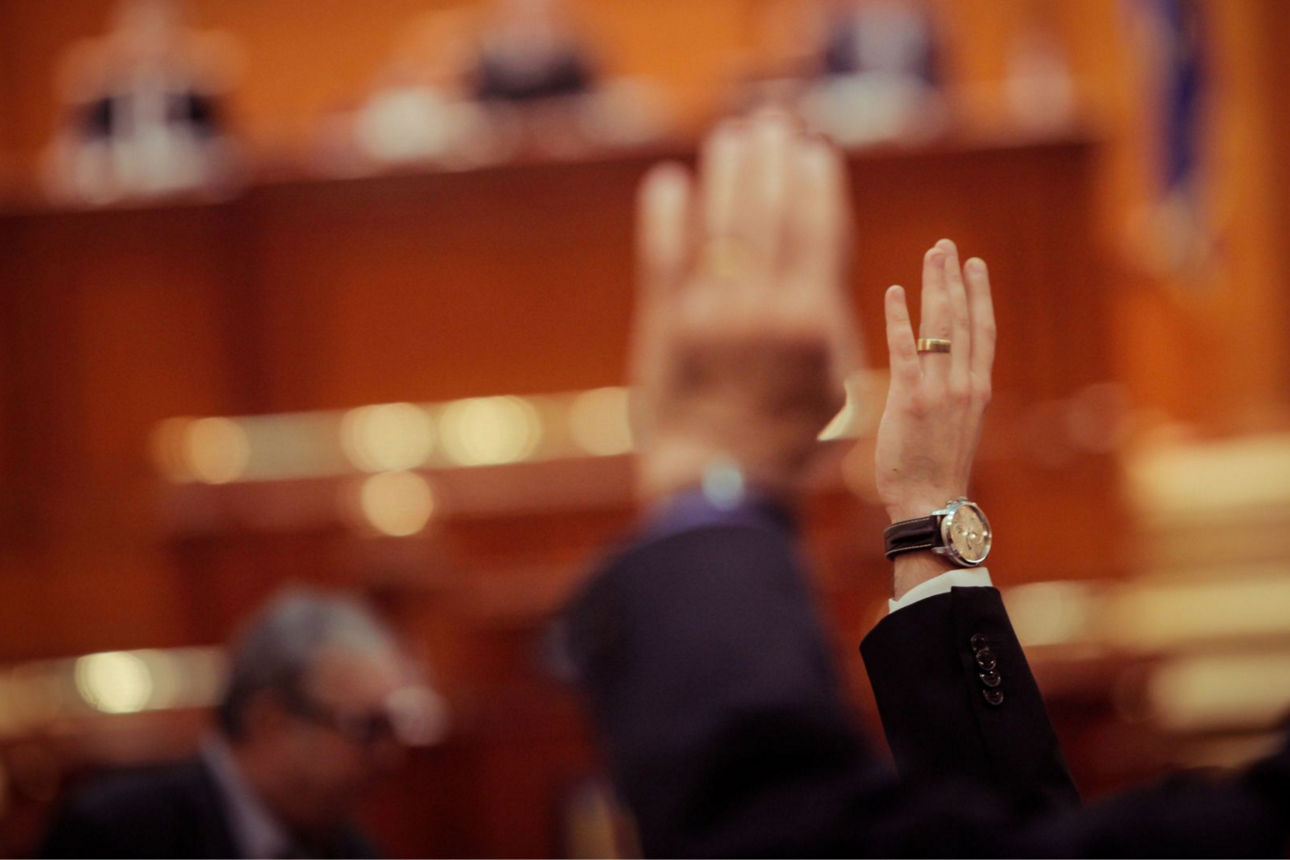 Vertreterversammlung