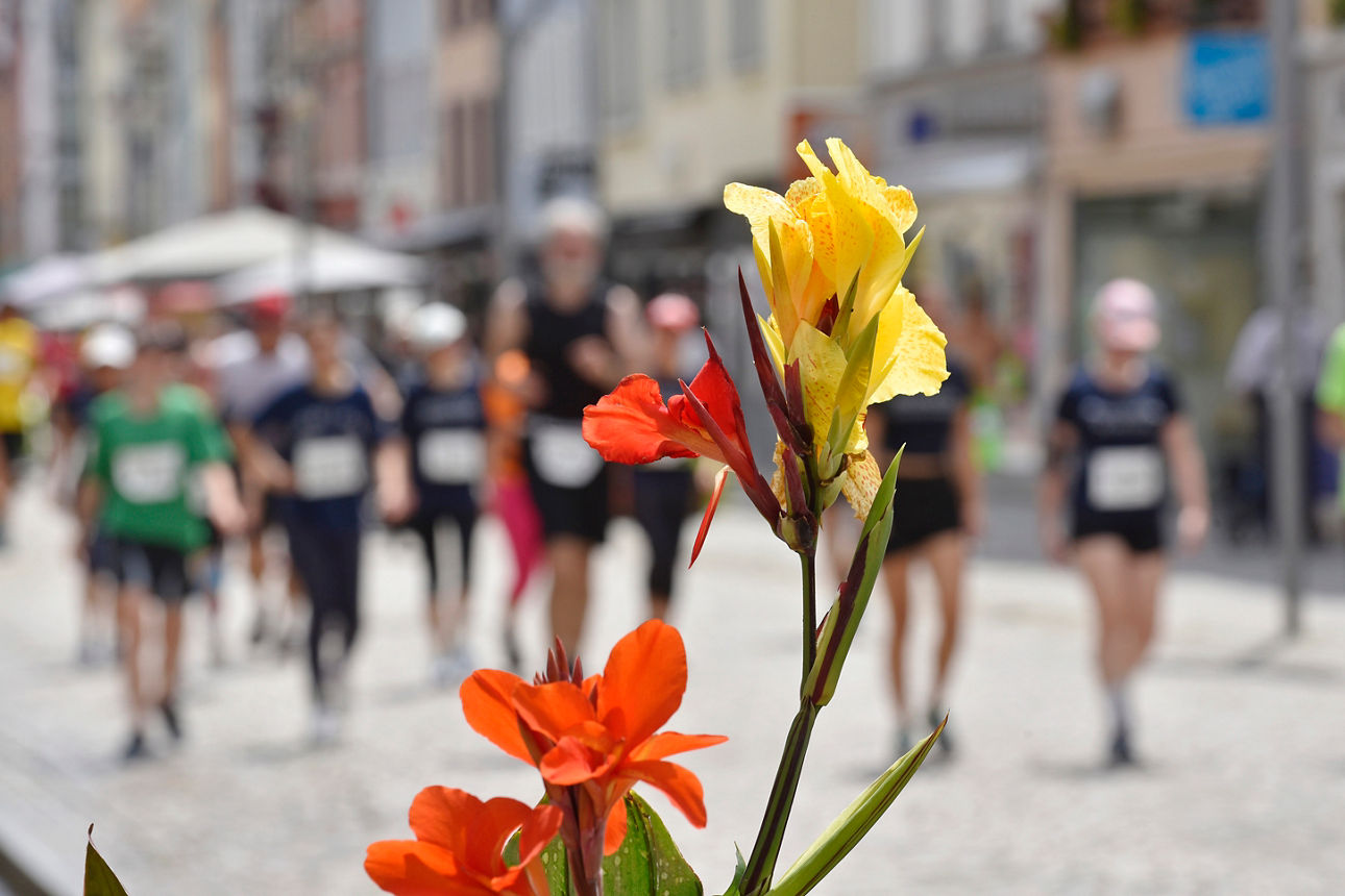 Bild vom Stadtlauf Villingen 2025