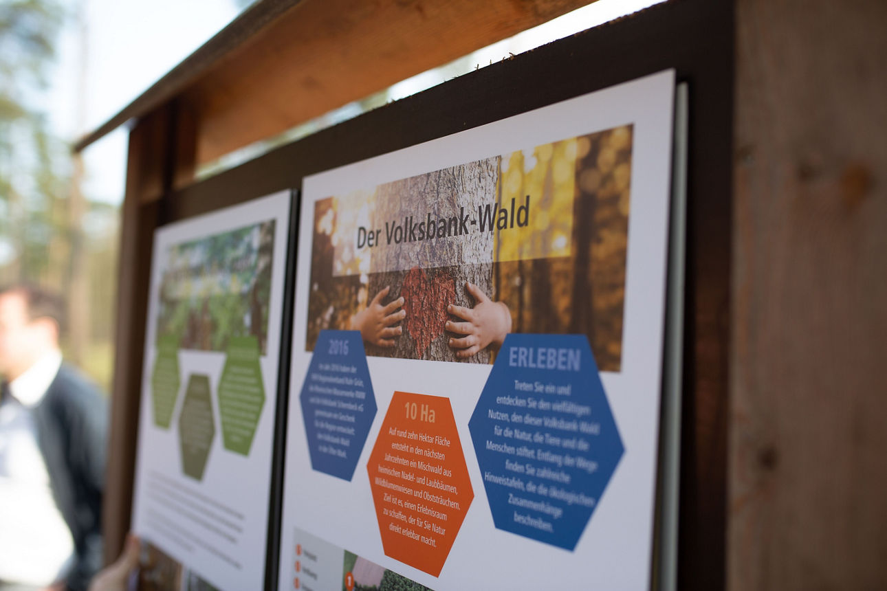 Ein Teil der Informationstafel zum Volksbank-Wald