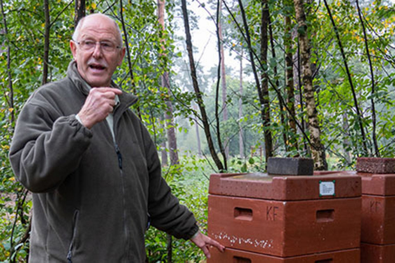 Imker steht an zwei Bienenstöcken
