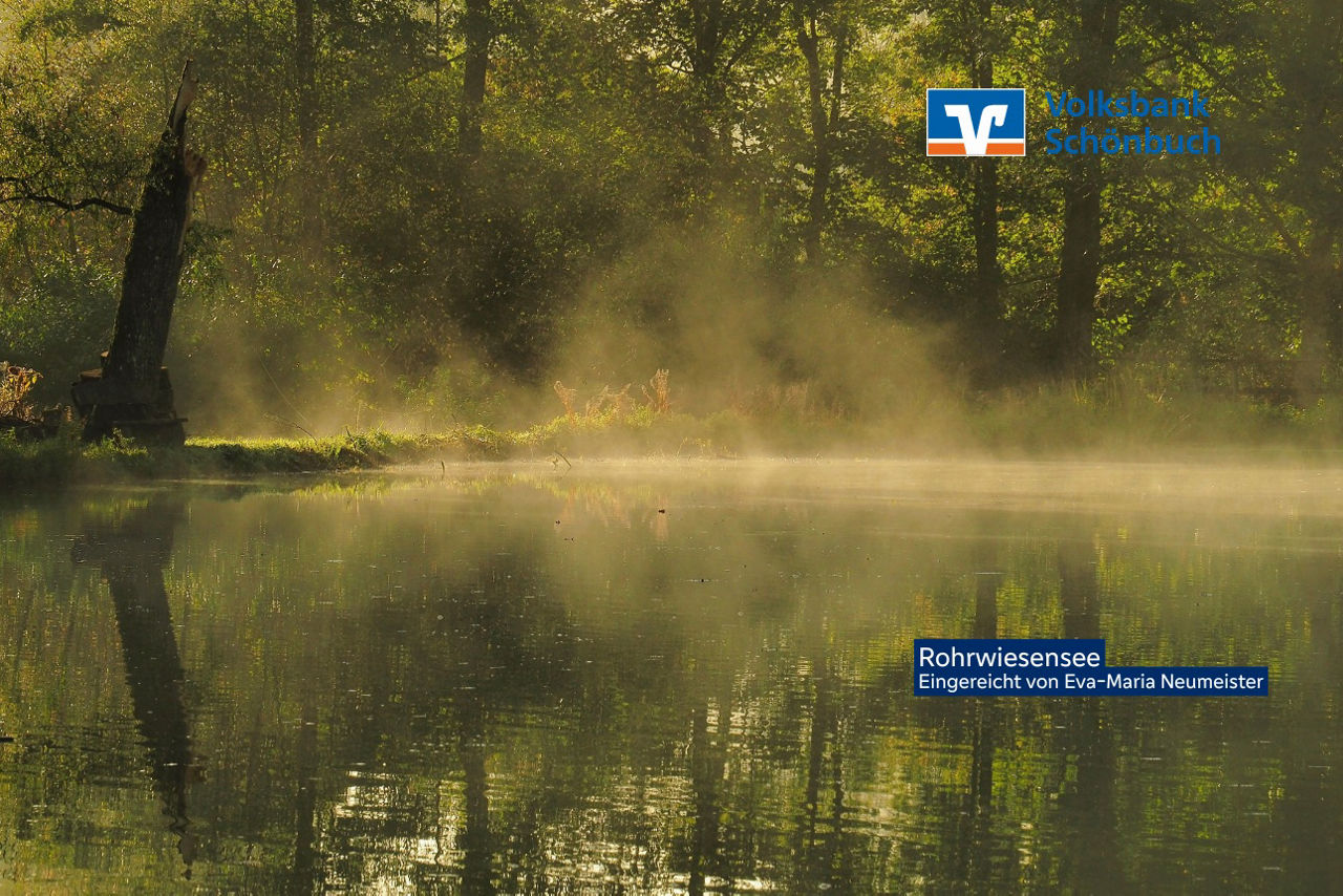 Nebel über dem Rohrwiesensee, Waldenbuch
