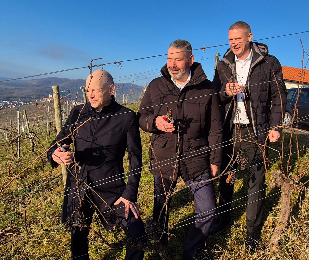 Pressekonferenz im Weinberg: Vorstandsvorsitzender Timm Häberle sowie Vorstandskollegen Heiko Herbst und Frank Kraaz (v.l.).