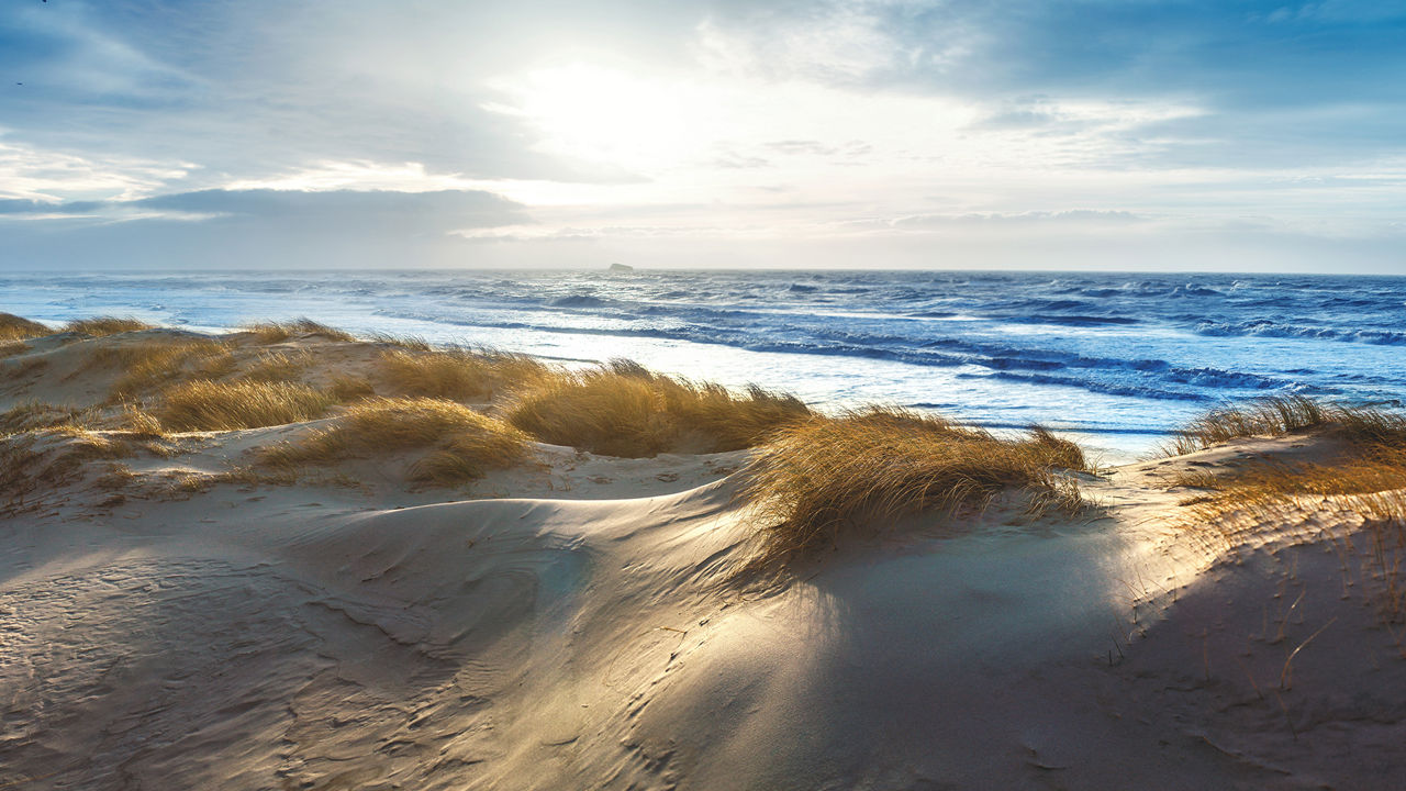 Bild der dänische Nordseeküste mit Dünenlandschaft, blauem Himmel und bewegtem Meer