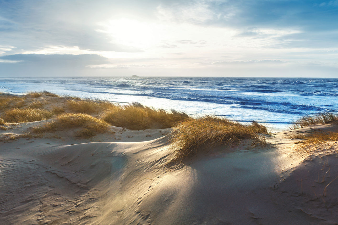 Bild der dänische Nordseeküste mit Dünenlandschaft, blauem Himmel und bewegtem Meer