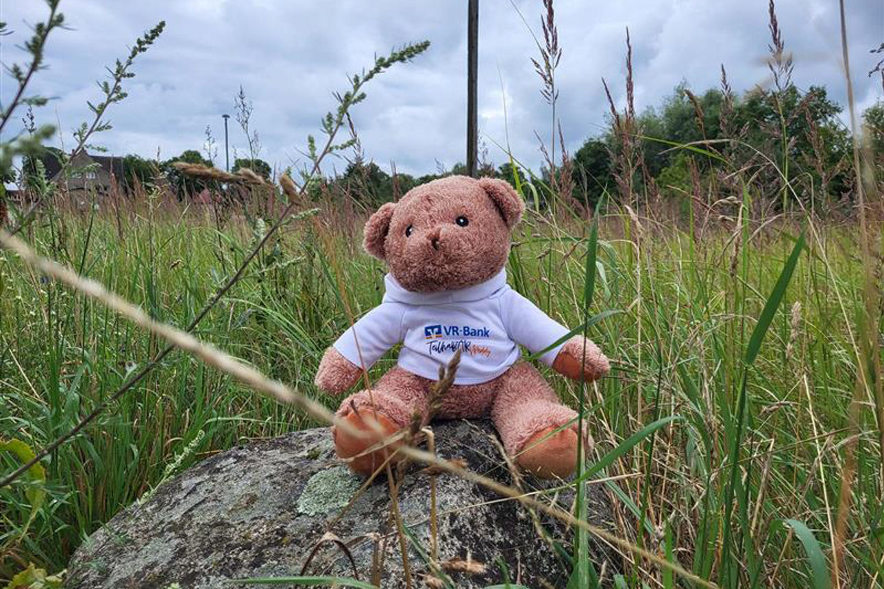 Teddybär sitzt auf einen Stein im hohen Gras