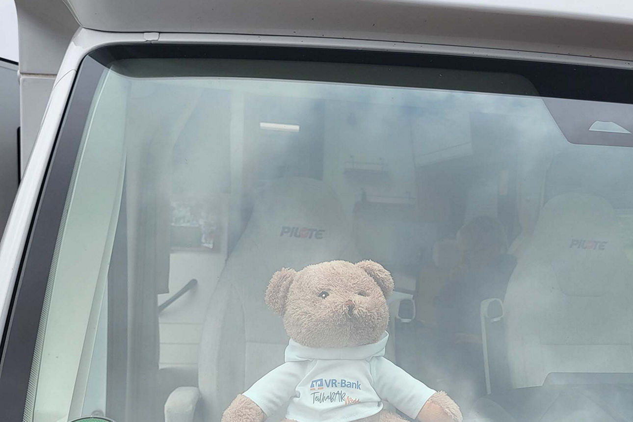 Teddybär sitzt hinter einer Autoscheibe auf dem Armaturenbrett