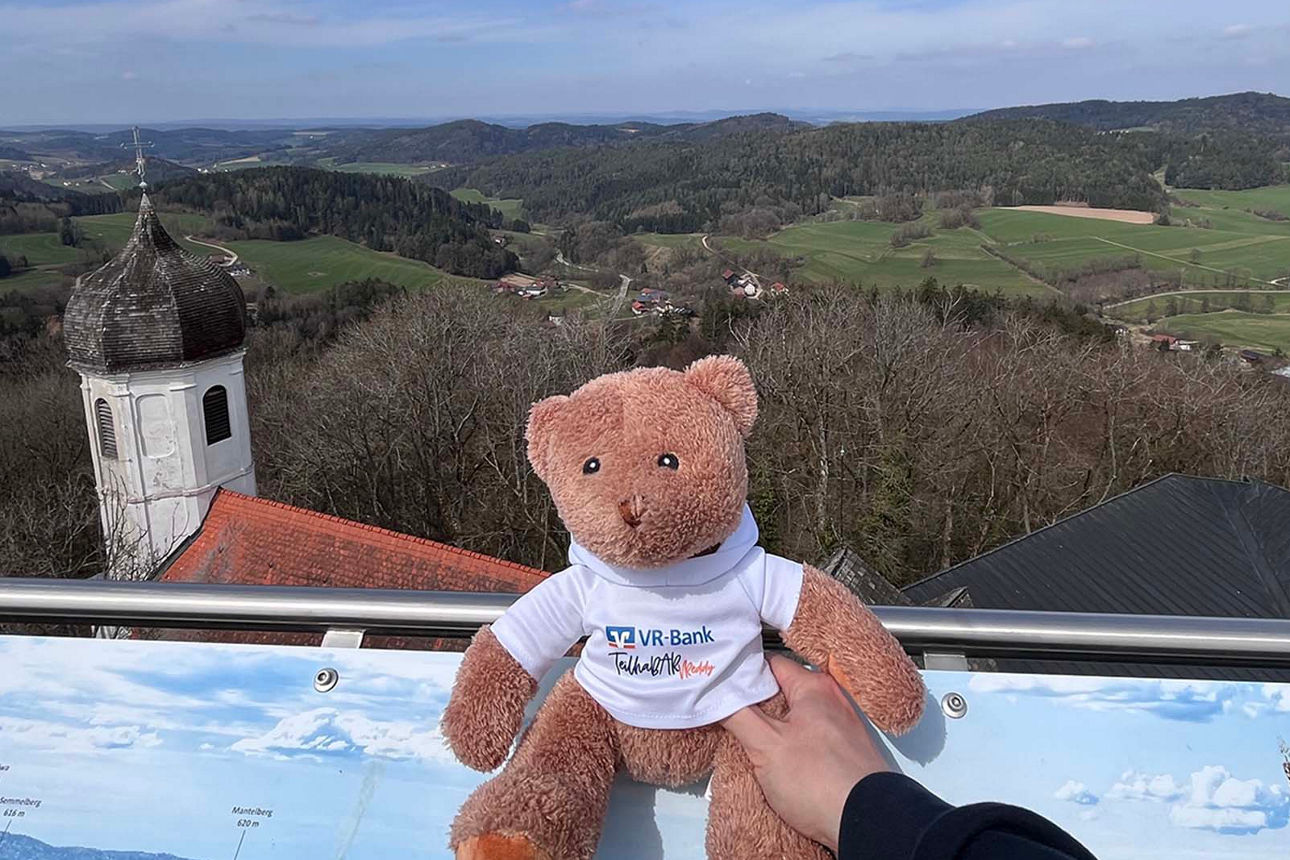 Teddybär sitzt auf einer Aussichtsplattform