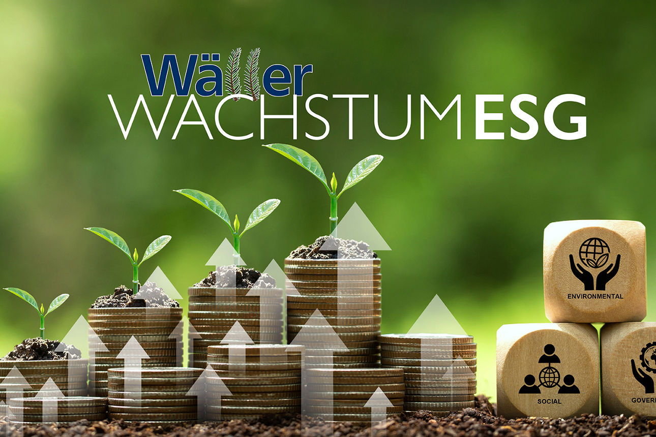 Grüne Pflanzen wachsen auf Münzen, Pfeile zeigen Wachstum, ESG-Würfel stehen für Umwelt, Soziales und Unternehmensführung.