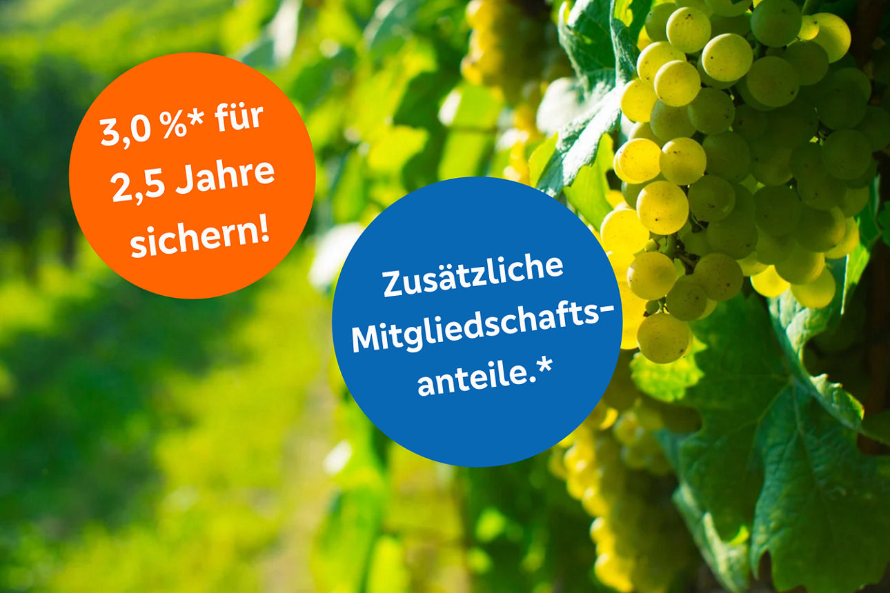 Weinreeben mit Text - 3,0 % für 2,5 Jahre sichern