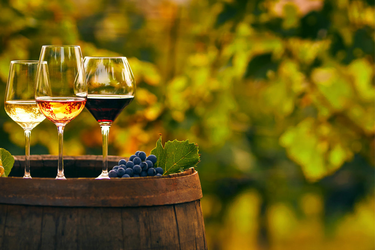 Weinproben auf einem malerischen deutschen Weingut