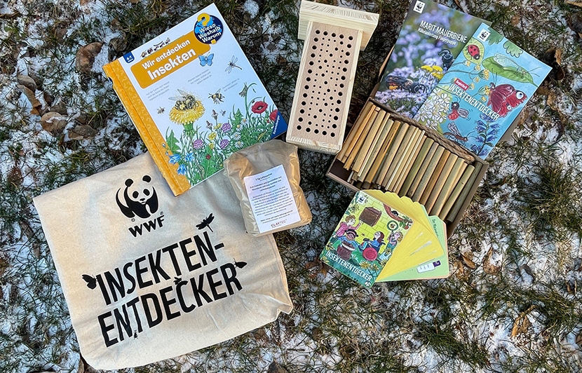 Insektenentdeckersets liegen auf Rasen mit Schnee
