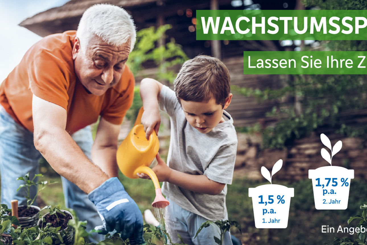 Mann und Kind gießen Blumen mit einer Kanne, rechts daneben sind Blumentöpfe mit den abgebildeten Zinsen