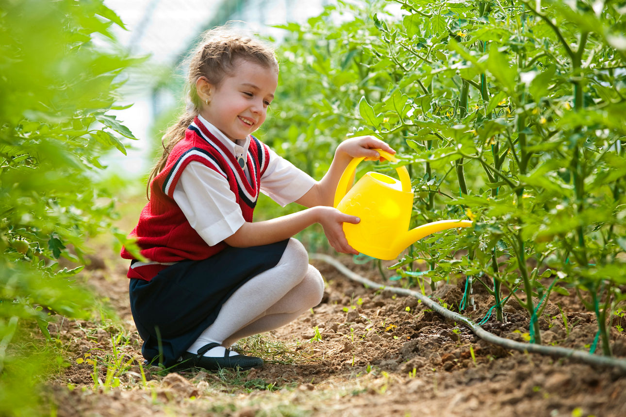 Ein Mädchen bewässert Pflanzen in einem Garten