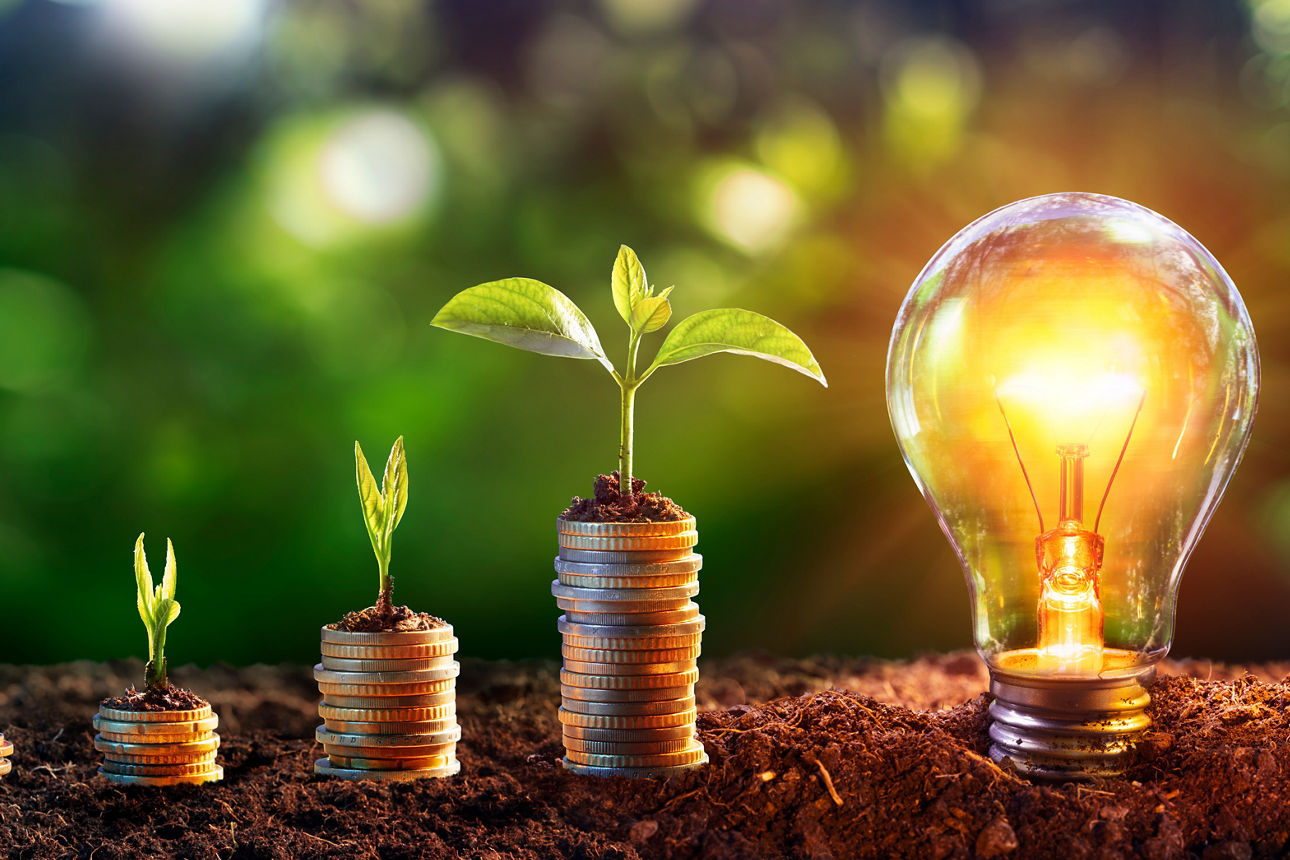 Grüne Pflanzen, die auf Geldhaufen wachsen. Leuchtende Glühbirne