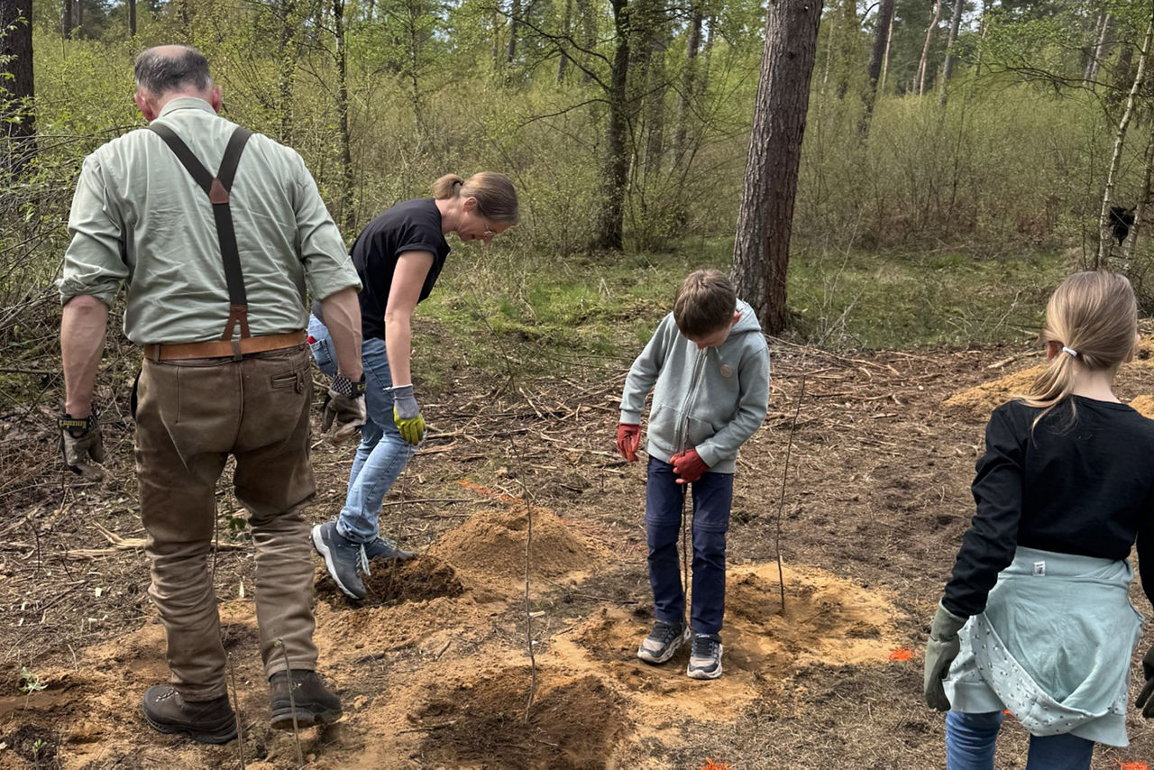 Ein kleine Gruppe von Personen bereitet Löcher im Waldboden für die Pflanung von jungen Bäumen vor.