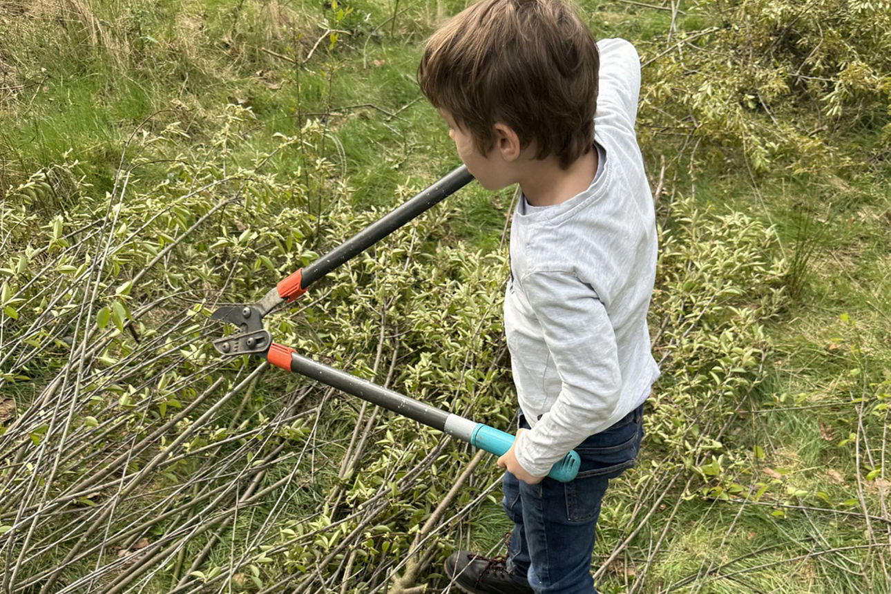 Eine Hecke wird gestutzt.