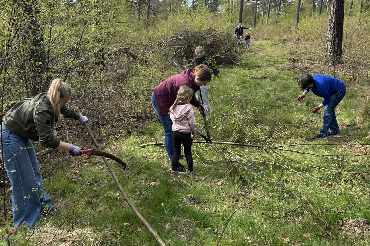 Dünner Bäume und dickere Äste werden klein gesägt.