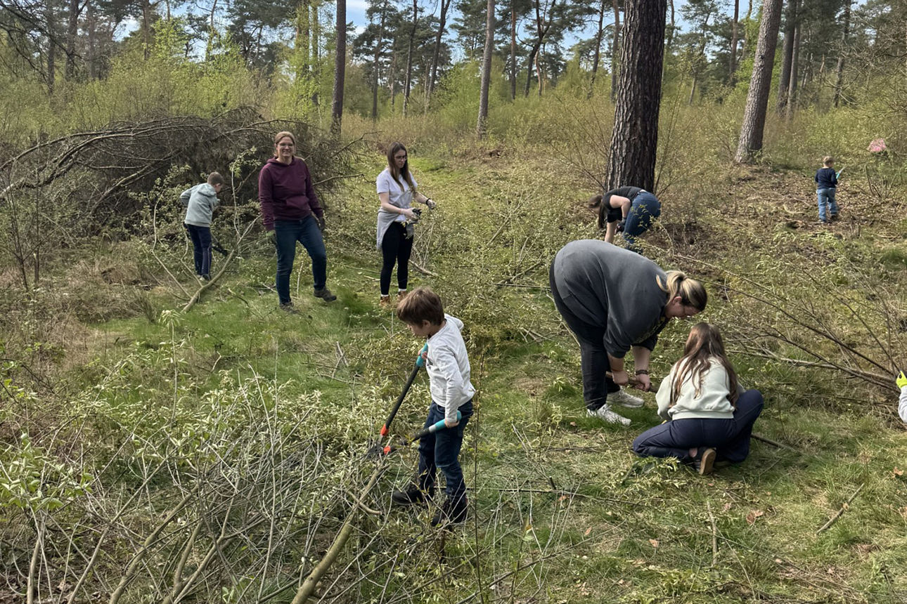 Dünner Bäume und dickere Äste werden klein gesägt.