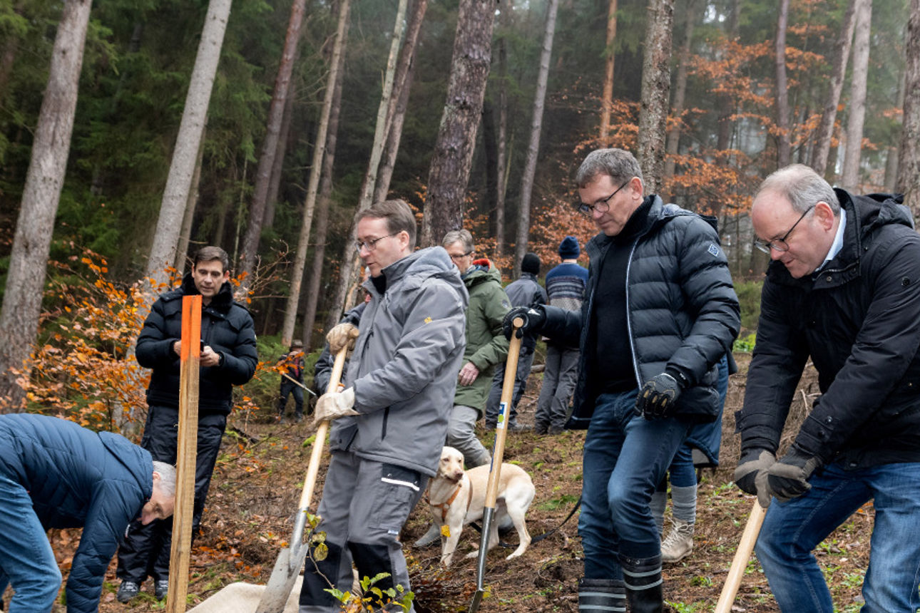 Wald-Aktionstag 2022