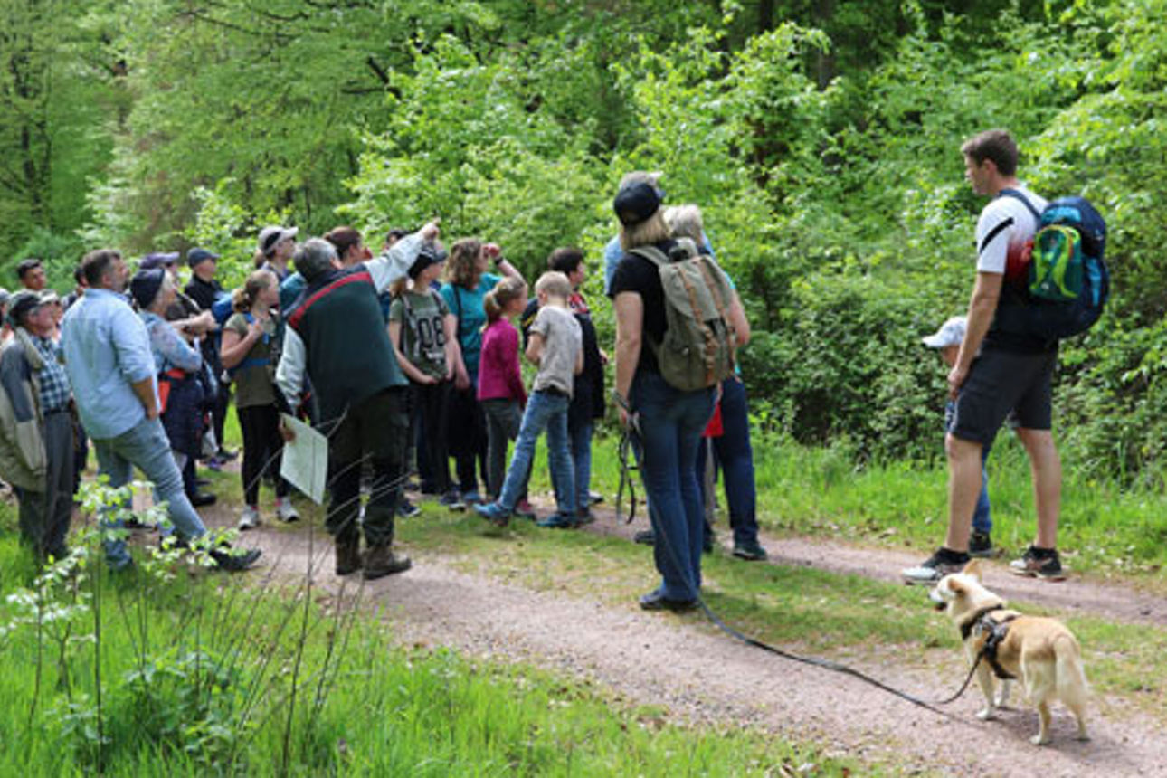 Eine Gruppe von Menschen, Kinder und Erwachsene, stehen auf einem Waldweg. Der Wald blüht grün. Sie tragen Sommerkleidung.