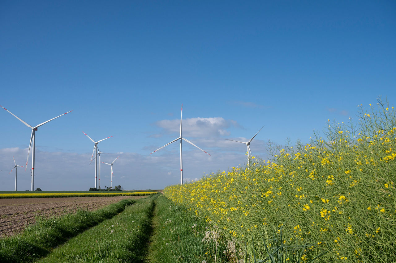 Lanschaft mit Windrädern im Hintergrund