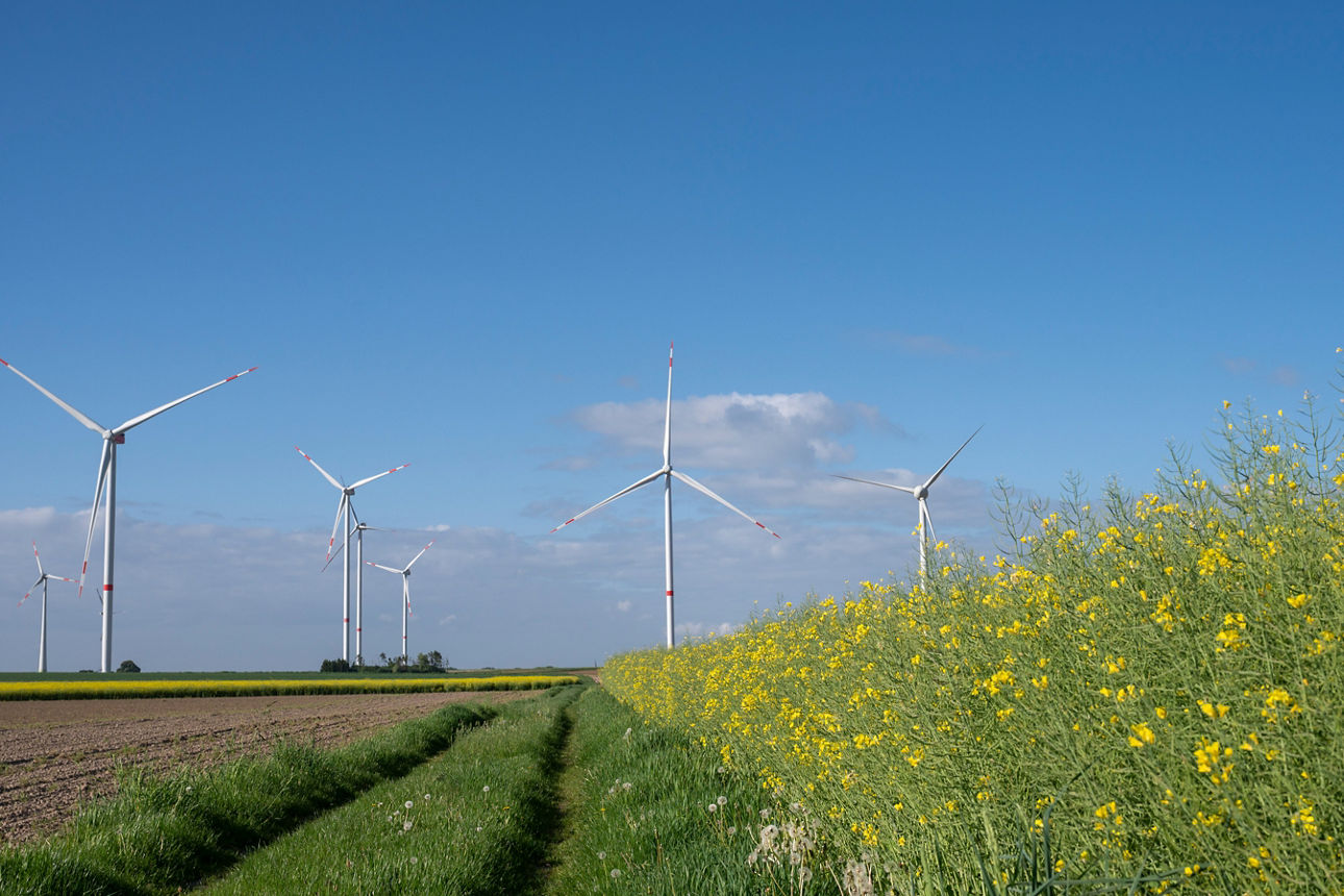 Lanschaft mit Windrädern im Hintergrund