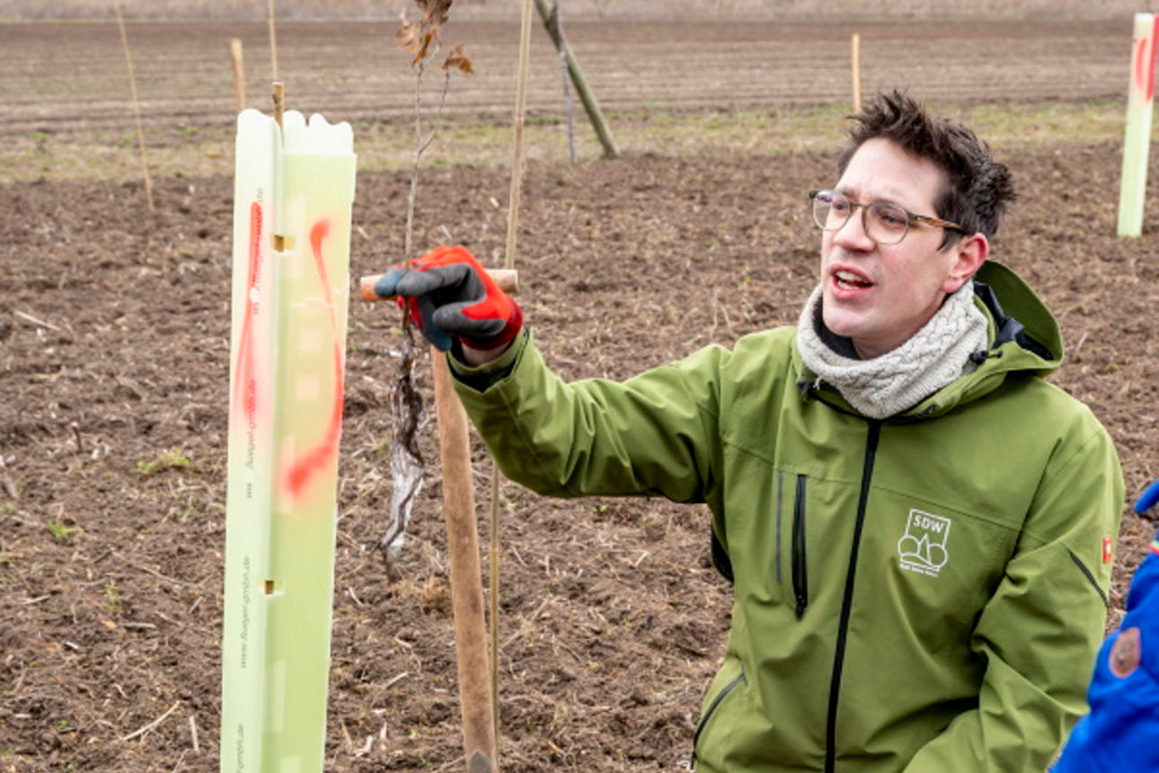 Ein Mann erklärt wie man einen Baum pflanzt
