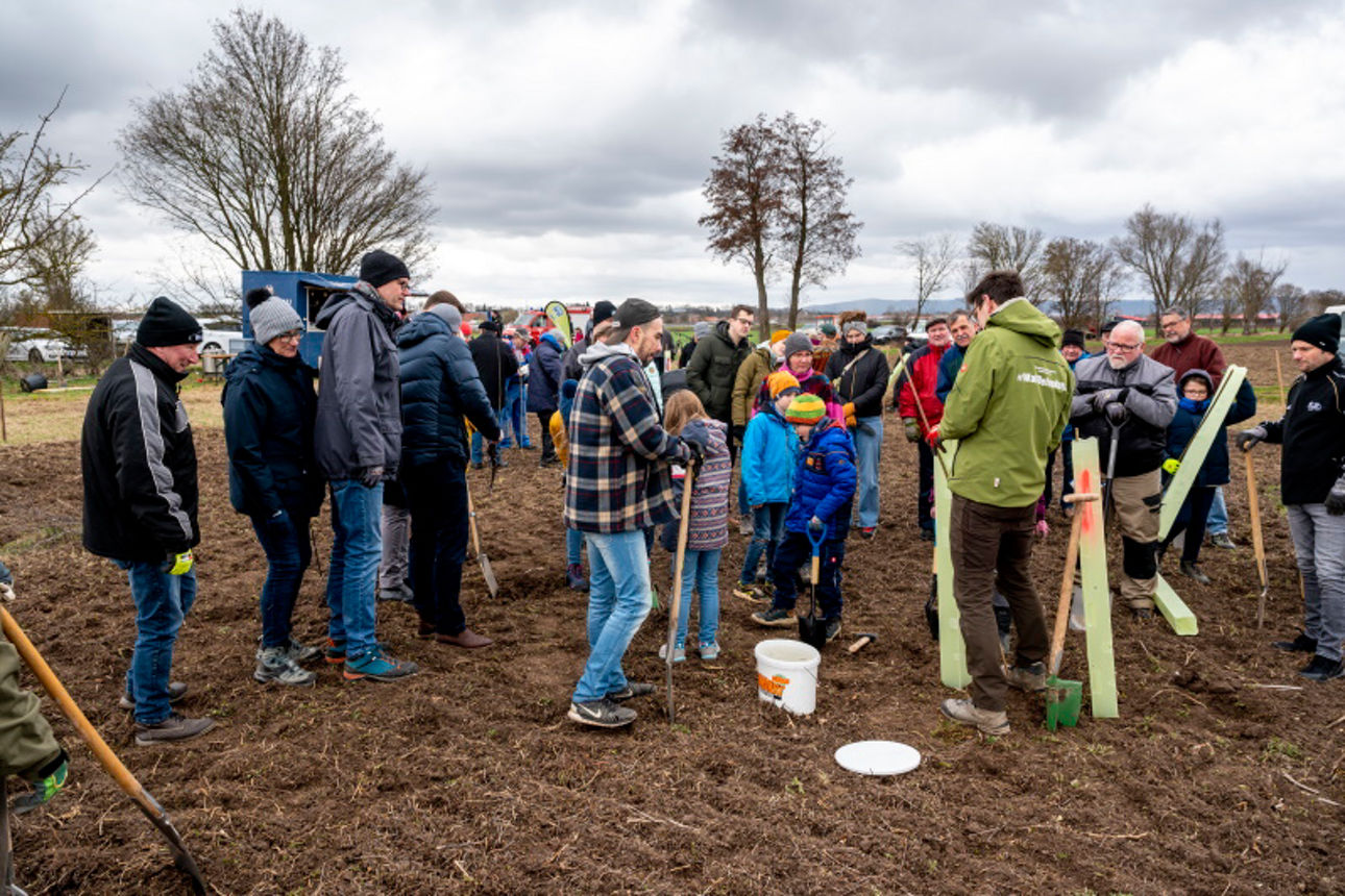Gruppe von Menschen pflanzt Bäume auf einer Wiese