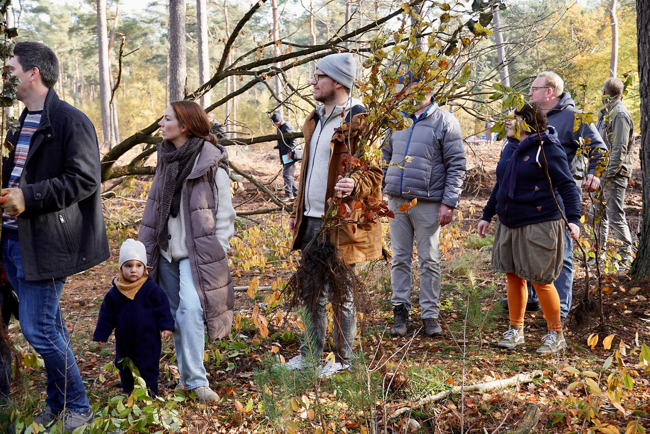 Familien pflanzen Bäume im Volsbank-Wald