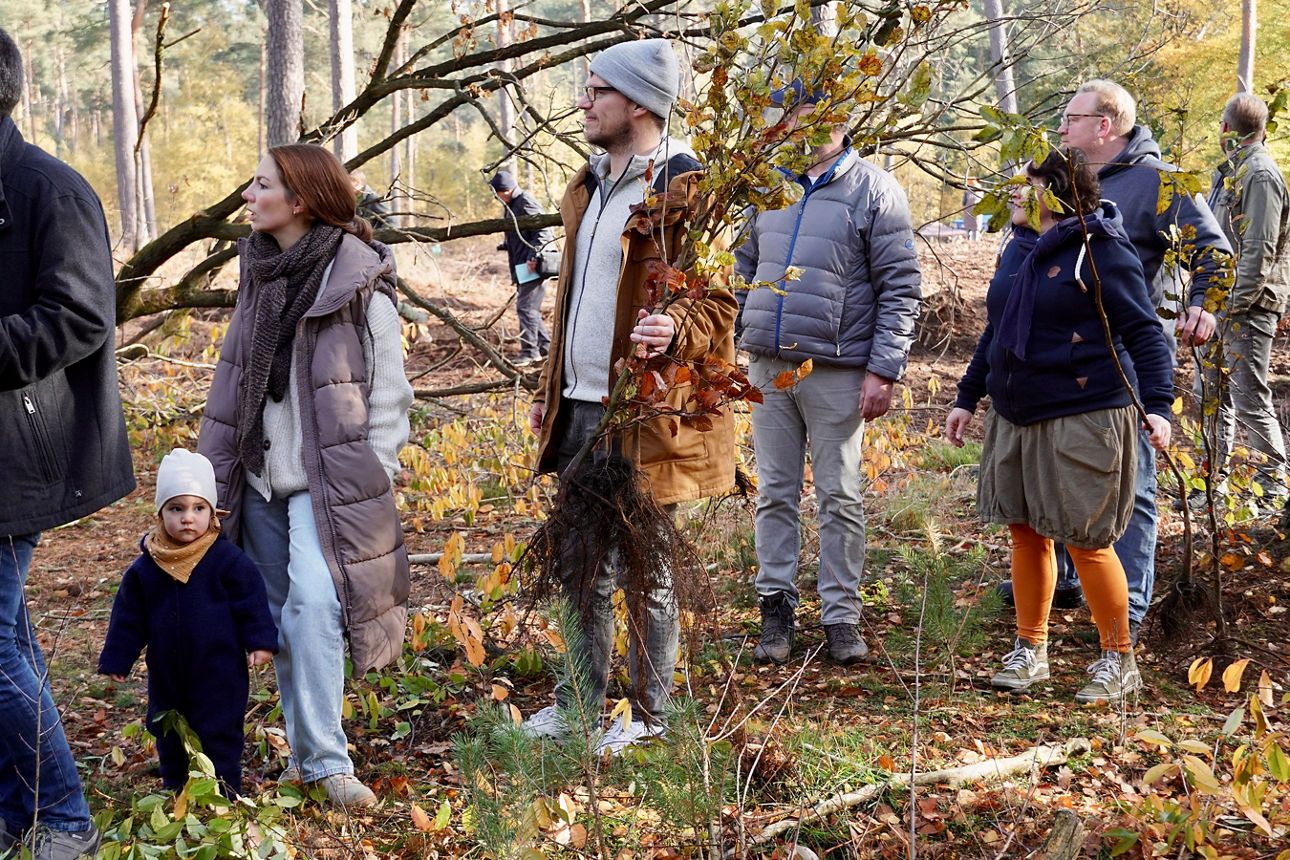 Familien pflanzen Bäume im Volsbank-Wald