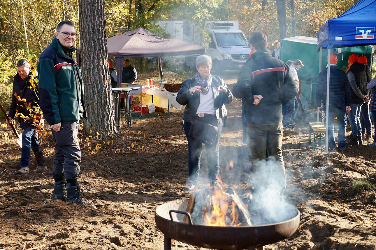 Große Gruppe Kinder im Wald.