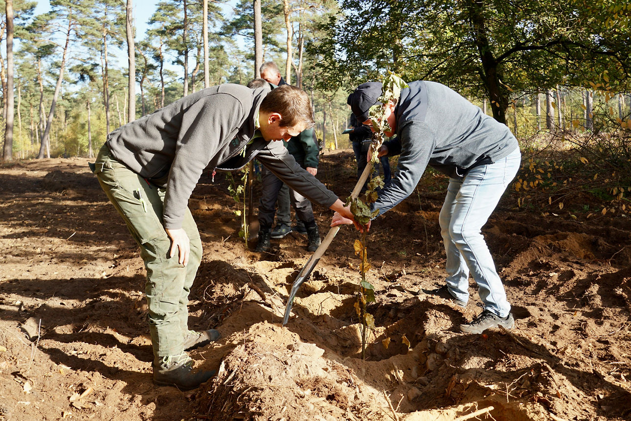 Menschen im Volksbank-Wald.