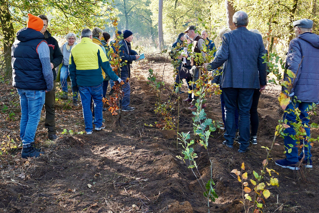 Menschen im Volksbank-Wald.