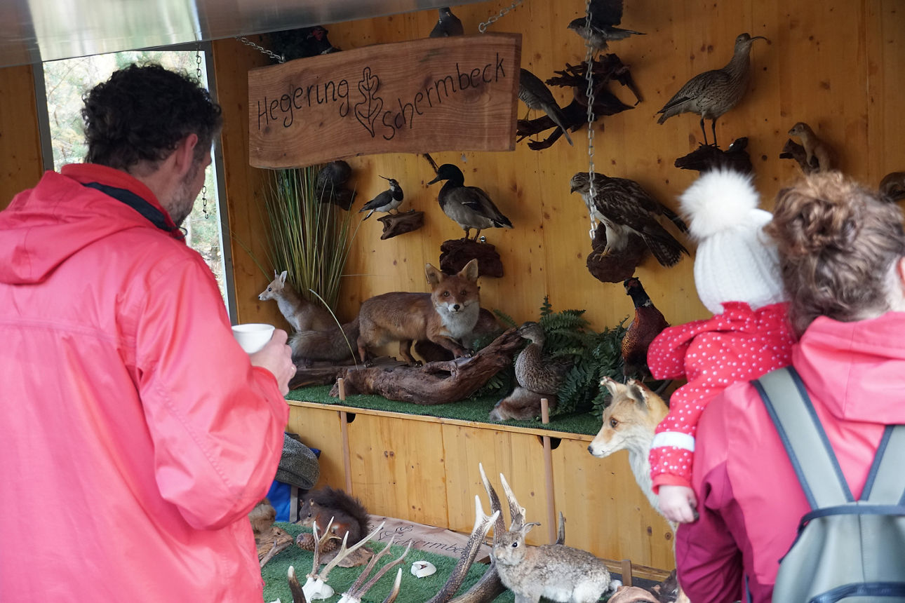 Menschen im Volksbank-Wald.