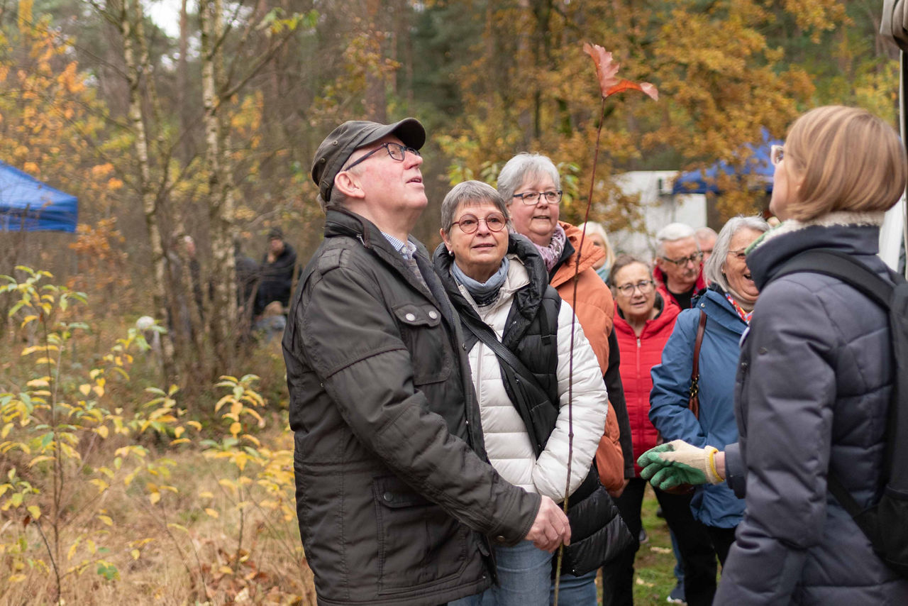 Mensch im Volksbank-Wald